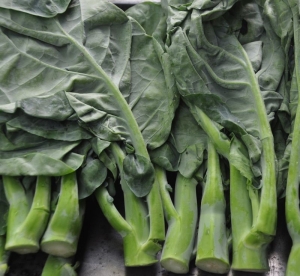 asian collard green seeds