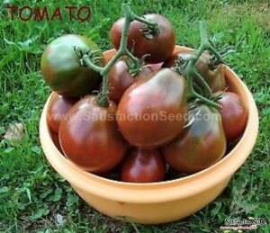 black pear tomato seeds