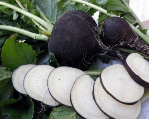 black spanish radish seeds