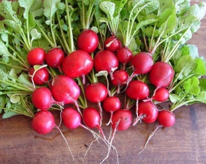 cherry belle radish seeds