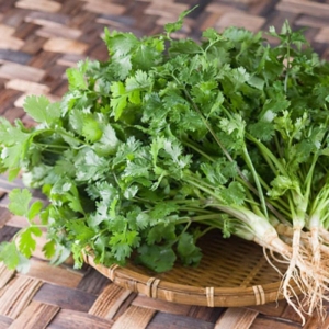 coriander chinese parsley seeds