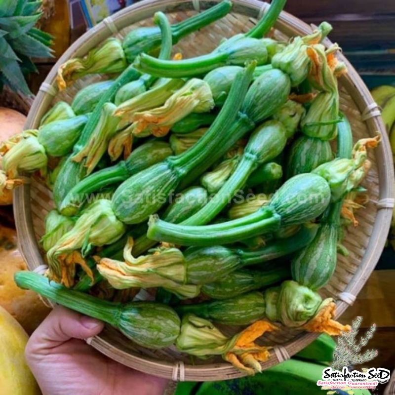 flower harvest pumpkin seeds