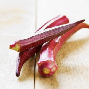 heirloom red burgundy okra seeds