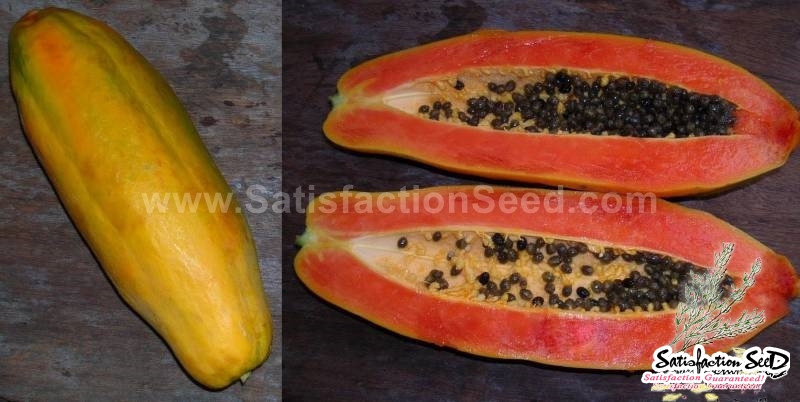 kag dum thai papaya seeds