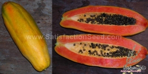 kag dum thai papaya seeds