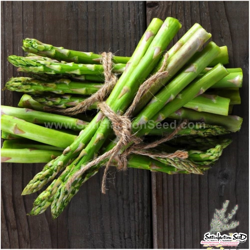 mary washington asparagus seeds