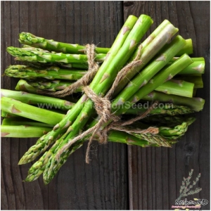 mary washington asparagus seeds