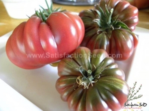 purple calabash tomato seeds