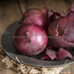 red ruby bulb onion seeds