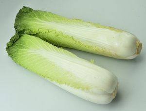 rocket chinese cabbage seeds