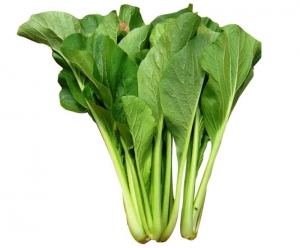 sawi green cantonese choy sum cabbage seeds