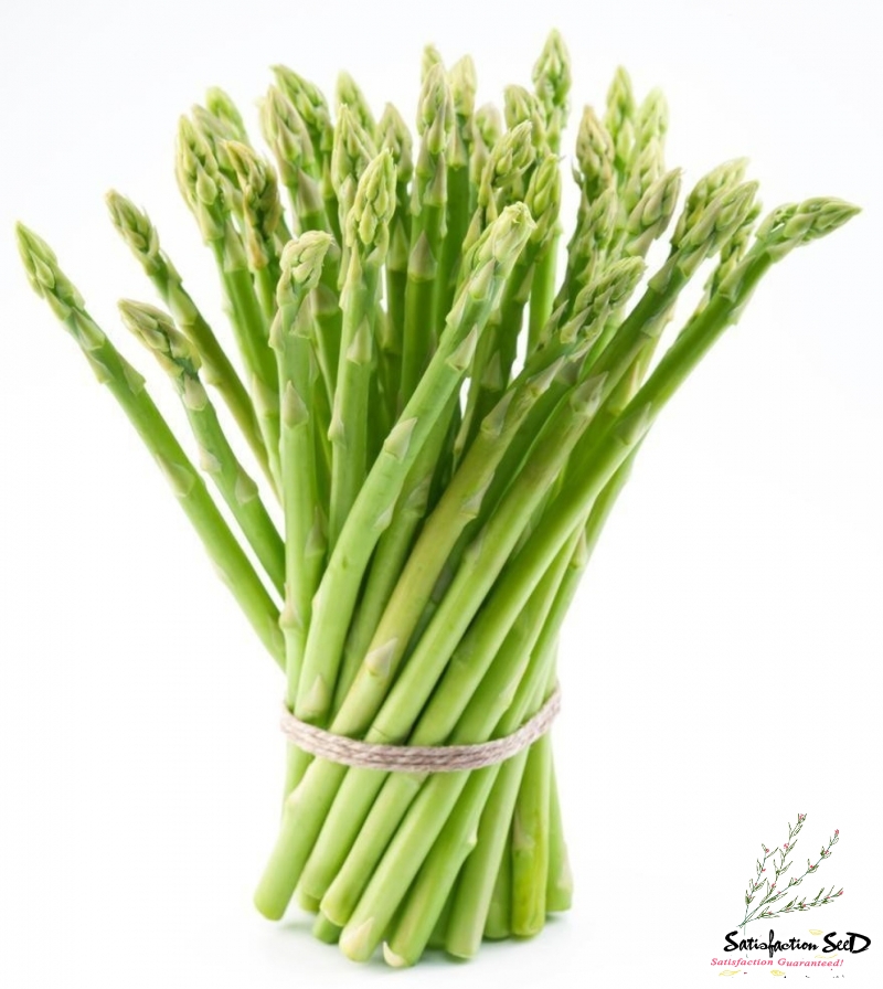 uc 157 asparagus seeds