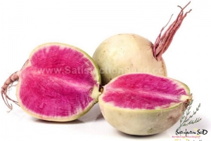 watermelon radish seeds