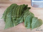 asia ip korean perilla seeds