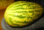 asian yellow stripe melon conomon seeds