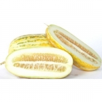 asian yellow stripe melon conomon seeds