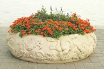 baby scarlet impatiens seeds