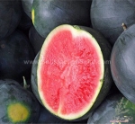 black diamond watermelon seeds