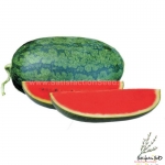 black icebox f1 watermelon seeds