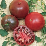 black krim tomato seeds