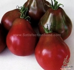 black pear tomato seeds