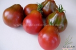 black pear tomato seeds