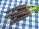 black spanish carrot seeds