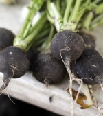 black spanish radish seeds