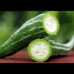 buag ngu serpent gourd seeds