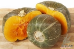 burgess buttercup squash seeds