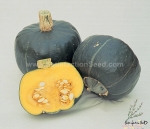burgess buttercup squash seeds