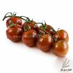 chocolate cherry tomato seeds