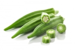 clemson spineless okra seeds