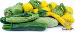 colorful mix summer squash seeds