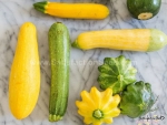 colorful mix summer squash seeds