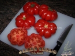 costoluto genovese tomato seeds