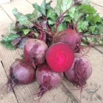 detroit beet seeds