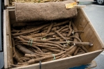 edible burdock seeds