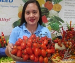 elf f1 heat resistant cherry tomato seeds