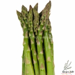goliath f1 asparagus seeds