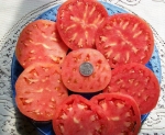 giant belgium tomato seeds