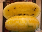 gold in gold f1 watermelon seeds