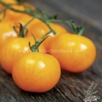 golden gem f1 tomato seeds