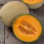hales best jumbo melon seeds