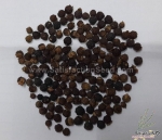 premna serratifolia la cach vong cach seeds