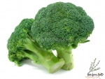 heat resistant broccoli seeds