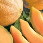 honey rock melon seeds