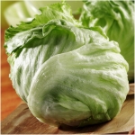 iceberg lettuce seeds