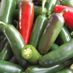 jalapeno hot pepper seeds
