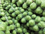 long island brussels sprouts seeds